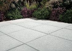 an empty concrete patio surrounded by plants and shrubbery