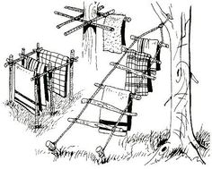 an ink drawing of clothes hanging on a line next to a tree and another one is in the grass