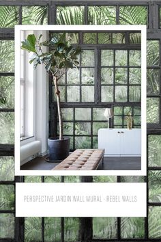 an image of a room with windows and plants in the window sill, as well as text that reads perspective jadoni wall mural - rebel walls