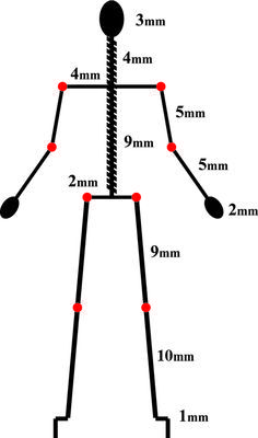 a diagram showing the height and width of a man's legs, which are connected to each other