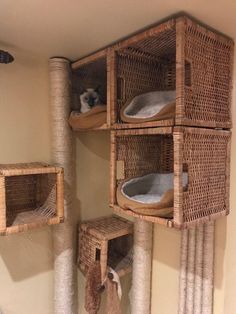 the cat tree is made out of bamboo