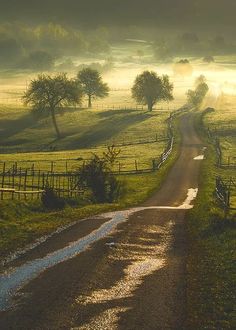 a dirt road in the middle of a grassy field