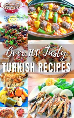 over 100 tasty turkish recipes