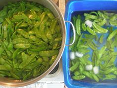 two pans filled with green beans next to each other