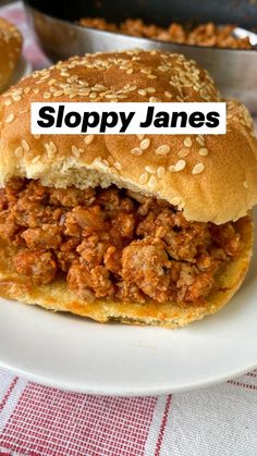 sloppy james on a white plate with red and white checkered table cloth next to it