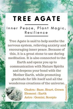 Tree Agate Properties, Tree Agate Crystal Meaning, Tree Agate Meaning, Tree Agate Crystal, Gratitude For Life, Crystal Book, Crystals Healing Grids, Mother Gaia