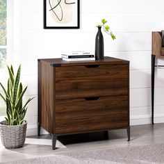 a wooden cabinet with two drawers next to a potted plant and a framed photograph