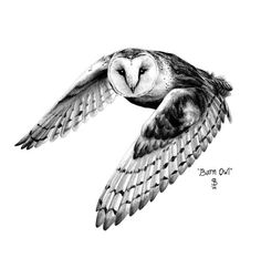 an owl flying in the air with its wings spread