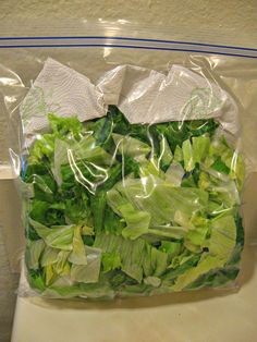 a plastic bag filled with lettuce sitting on top of a toilet