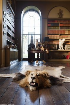 a dog laying on the floor in front of a bookcase