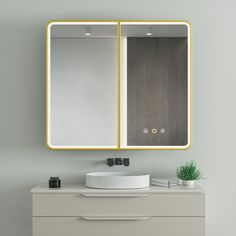 a bathroom vanity with two mirrors above it and a plant on the counter next to it