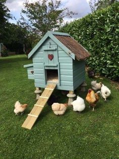 several chickens are standing in the grass near a blue chicken house with a ramp leading to it