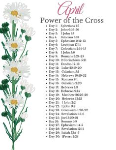 the power of the cross poster with daisies on it and an image of flowers