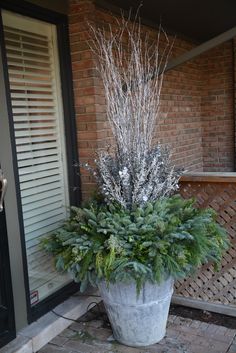 a large potted plant sitting on the side of a building