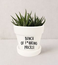 a potted plant with the words i'm not dead yet