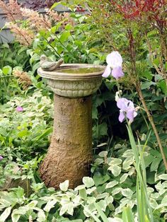 a bird bath sitting in the middle of a garden