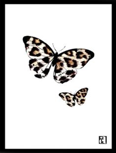 two butterflies on a white background, one is black and the other is leopard print