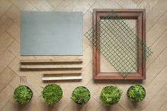 a group of plants sitting on top of a wooden floor next to a window frame