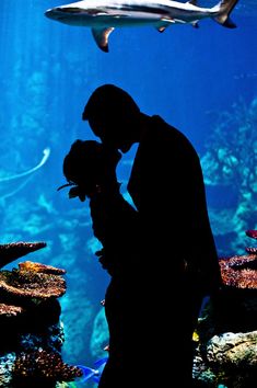 a man and woman standing in front of an aquarium with a shark swimming over them