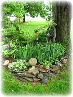 a garden with rocks and flowers in the grass next to a tree on a sunny day