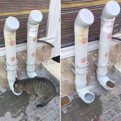 two pictures of a cat drinking out of a water fountain