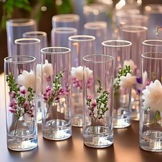 there are many glass vases with flowers in them sitting on the table next to each other