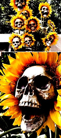 there are three pictures with skulls and sunflowers in the same photo, one has a skull on it