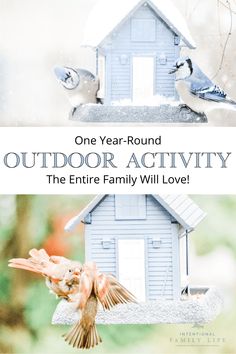 a bird feeder with two birds on it and the words, one year - round outdoor activity the entire family will love