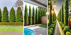 two pictures side by side with trees and bushes in the foreground, an outdoor swimming pool