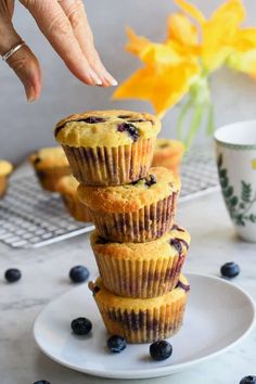 a stack of blueberry muffins sitting on top of a white plate