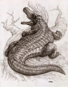 a drawing of a large alligator sitting on top of a rock