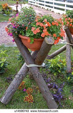 two potted plants sitting on top of wooden poles in the grass with flowers growing out of them