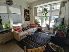 a living room filled with furniture and lots of plants on the windows sills