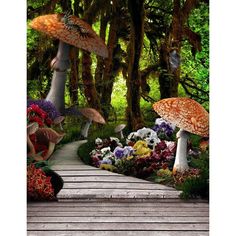 there are many different types of mushrooms in the forest with flowers and plants around them