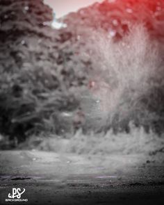 a red fire hydrant spewing water onto the ground