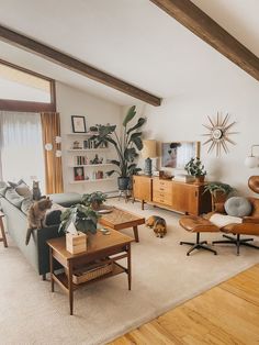 a living room filled with furniture and a cat on top of a table in front of a window