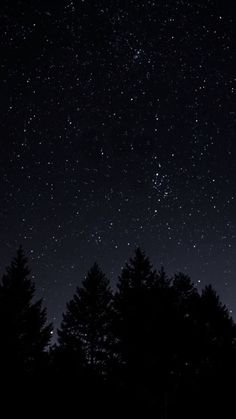 the night sky is filled with stars and trees