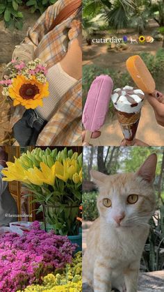 a cat sitting on top of a table next to flowers and ice creams in vases