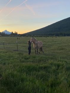 two horses standing next to each other on a lush green field with mountains in the background