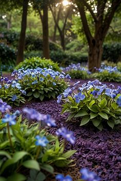 blue flowers are growing in the ground near trees