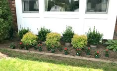 there are many potted plants in front of the house