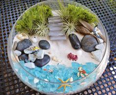 a glass bowl filled with rocks and plants on top of a metal table covered in seaweed