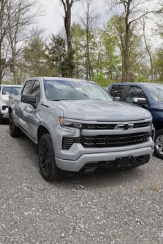 a silver truck parked in a parking lot next to other cars and trees on a cloudy day