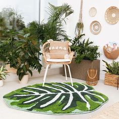 a living room with potted plants and rugs