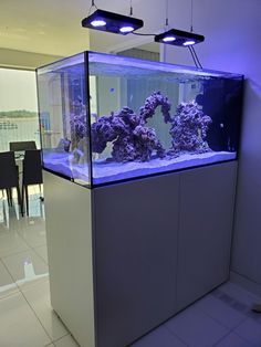 an aquarium with purple corals in it and two lights hanging from the ceiling above