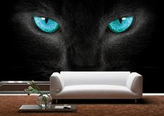 a black cat with blue eyes is shown in this wallpapered living room setting