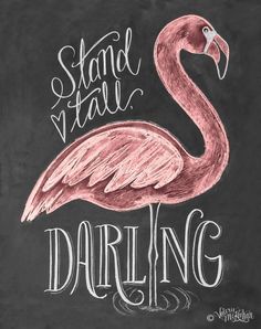 a chalk drawing of a pink flamingo with the words stand tall, daring on it