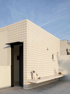 a white cat sitting on the ledge of a building next to a door and window