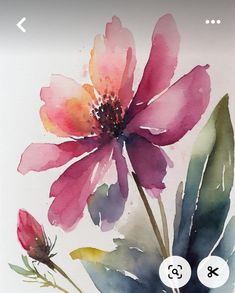 a watercolor painting of a pink flower with green leaves on the bottom right corner