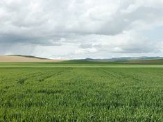 a large field with green grass and hills in the distance, under a cloudy sky